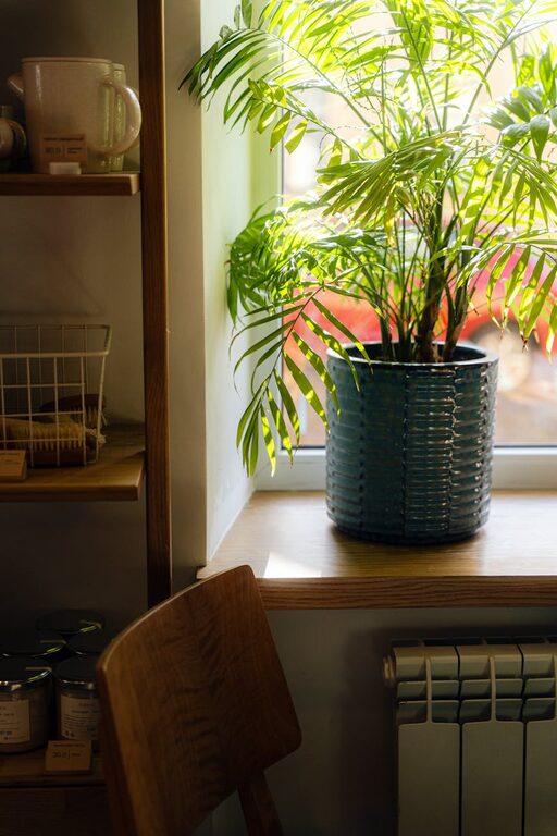 The Benefits of Incorporating Indoor Plants Into Your Home Decor